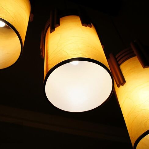 Inch round Acrylic Lamp Diffuser Disc for Pendant Lights in Kuwait