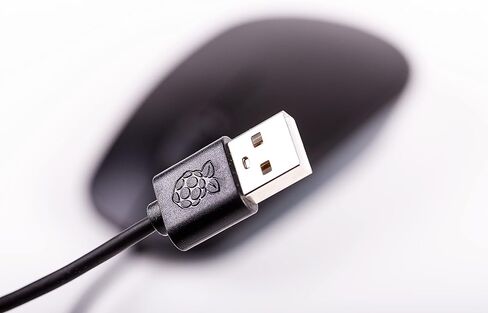 Raspberry Pi Mouse in Saudi Arabia