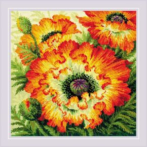 RIOLIS 2080 Fire Poppies