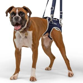 Balto Life Hip Dysplasia Brace – Dog Hip Support Harness – Hind End Adjustable Compression Brace - Distribute Weight Evenly Helps Prevent New Injuries – Rear Support Aide (Extra Small)