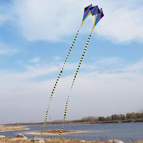Besra Large Single Line 3D Diamond Flowing Frog Kite with 2 Long Tails Outdoor Fun Sports for Kids & Adults