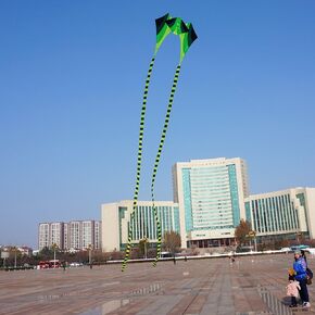 Besra Large Single Line 3D Diamond Flowing Frog Kite with 2 Long Tails Outdoor Fun Sports for Kids & Adults in Kuwait