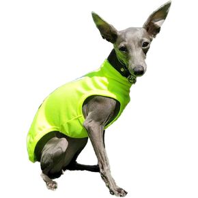 Italian Greyhound Clothes Cool Tank Top Whippet Clothes Bedlington Terrier Clothes Doggy Star (Orange, Large)