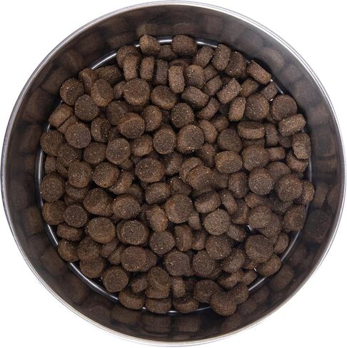 Health Extension Dry Dog Food, Natural Food for All Puppies & Dogs with Added Vitamins & Mineral, Lamb & Brown Rice Recipe (1 Lb / 0.4 Kg) in Saudi Arabia