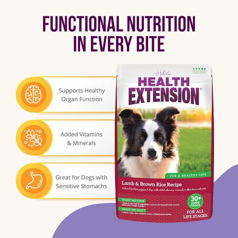 Health Extension Dry Dog Food, Natural Food for All Puppies & Dogs with Added Vitamins & Mineral, Lamb & Brown Rice Recipe (1 Lb / 0.4 Kg) in Saudi Arabia
