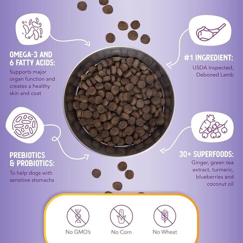 Health Extension Dry Dog Food, Natural Food for All Puppies & Dogs with Added Vitamins & Mineral, Lamb & Brown Rice Recipe (1 Lb / 0.4 Kg) in Saudi Arabia