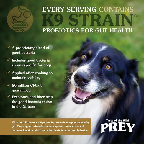 Taste of the Wild Prey Real Meat High Protein Turkey Limited Ingredient Dry Dog Food Grain-Free Recipe Made with Real Cage-Free Turkey, Probiotics, Antioxidants, and Vitamins for All Life Stages 8lb in Saudi Arabia