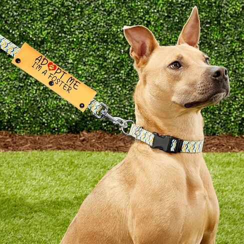 PWHAOO Adopted and Adored Dog Adopt Me Leash Sleeve Adopt Me Leash Sleeve New Puppy Dog Leash Wrap Gift (Adopt ME I'm A Foster Sleeve) in Saudi Arabia