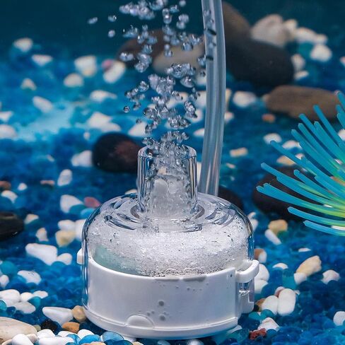 Pawfly Mini Aquarium Sponge Filter, Small Fish Tank Internal Filter with Foam and Air Stone Submersible Bio Sponge Filter for Fish Tanks up to 5 Gallon (Air Pump Not Included) in Saudi Arabia
