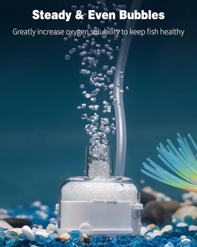Pawfly Mini Aquarium Sponge Filter, Small Fish Tank Internal Filter with Foam and Air Stone Submersible Bio Sponge Filter for Fish Tanks up to 5 Gallon (Air Pump Not Included) in Saudi Arabia