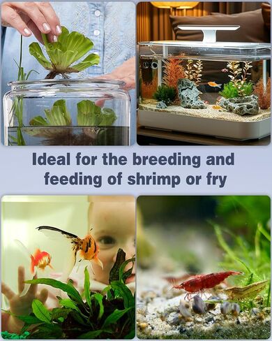 Pawfly Mini Aquarium Sponge Filter, Small Fish Tank Internal Filter with Foam and Air Stone Submersible Bio Sponge Filter for Fish Tanks up to 5 Gallon (Air Pump Not Included) in Saudi Arabia