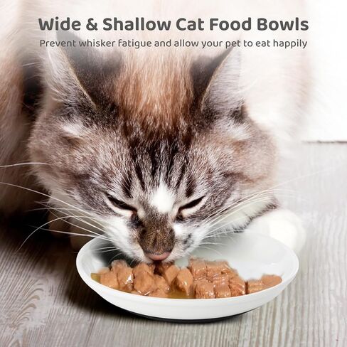 Dorakitten Ceramic Cat Bowls 10 Packs, No Whisker Fatigue Wide Shallow Cat Dishes with Non-Slip Silicone Bottom, Pet Cat Food Water Plates Bowls, 15cm Diameter in Saudi Arabia
