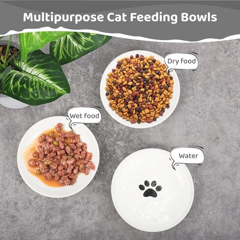 Dorakitten Ceramic Cat Bowls 10 Packs, No Whisker Fatigue Wide Shallow Cat Dishes with Non-Slip Silicone Bottom, Pet Cat Food Water Plates Bowls, 15cm Diameter in Saudi Arabia