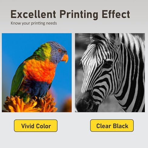 خراطيش حبر 62XL بديلة عالية الإنتاجية لحبر HP 62xl مجموعة كومبو باللون الأسود واللون تعمل مع طابعة HP Envy 5540 5549 5640 5660 7640 7645 OfficeJet Mobile 250 200 OfficeJet 5740 5741 8040 in Kuwait