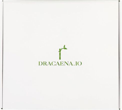 Dracaena.io 4m PVC Soft Tubing 3/8" ID 1/2" OD, PC Water Cooling, Red in Saudi Arabia
