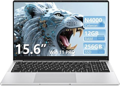DUNHOO Laptop, 15.6’’ Laptop Computer with Celeron Processor N4000, 2Cores 2Threads, 8GB RAM DDR4 256GB SSD Laptops, UHD Graphics 600, Lap Top 180°Hinge, FHD 1920 * 1080, WiFi 5, BT 4.2, Win 11 Pro in Saudi Arabia