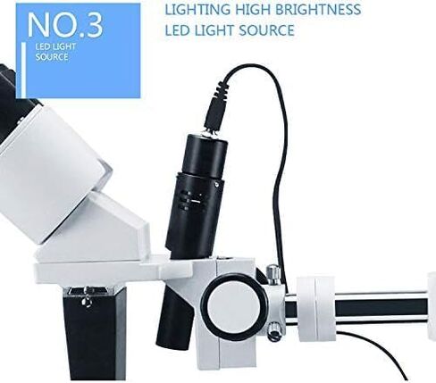 REEHUT 10X التكبير الذراع الطويلة مجهر ثنائي العينين مع 5 واط مصباح ليد مجهر ستيريو كليب على الطاولة XWL8-4 in Kuwait