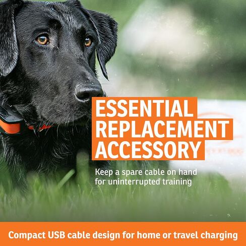 SportDOG In-Ground Fence & NoBark Replacement USB Cable in Saudi Arabia