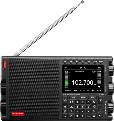 CHOYONG LC100 راديو إنترنت ذكي متعدد الموجات، واي فاي/4G، AM/FM/MW/SW (فضي) in Kuwait