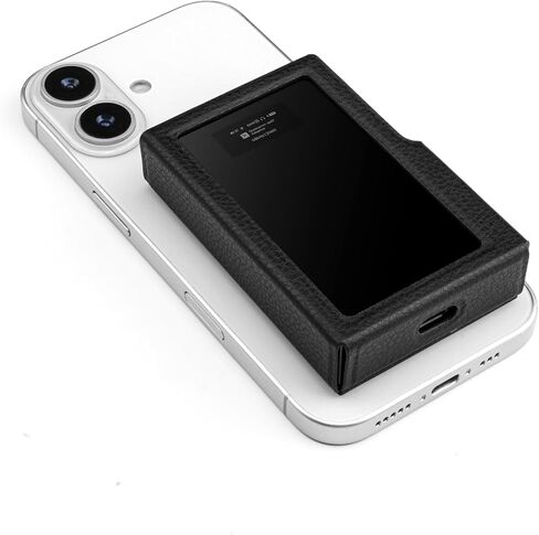 Questyle M18i Max Portable Headphone Amps USB DAC Case Black in Saudi Arabia