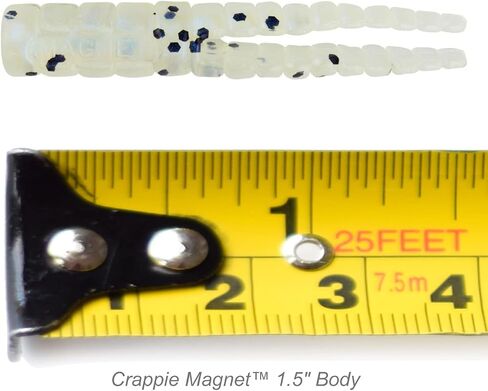 Crappie Magnet 50-Pack Split-Tail Grub Body Pack, One of The Top Vertical Fishing Jigs for Crappie, Freshwater Fishing Accessories, Shonuff in Kuwait