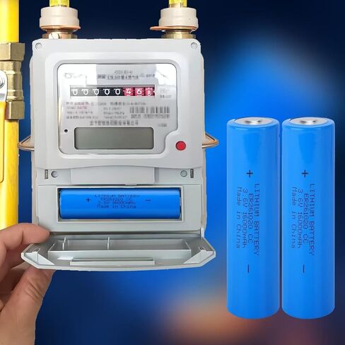 10 Pack ER261020 3.6V 16000mAh Li-SOCl₂ Battery - for Digitrak Sonde/Locator, Memory Backup, Long Shelf Life in Kuwait