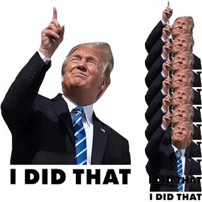 I Did that Political Stickers, 100 Pcs Funny Humor Decals, 3 Inch Large Waterproof Vinyl Stickers for Laptop, Car, Water Bottle, Notebook - Adult Novelty Gag Gift Pack (100 Count) in Kuwait