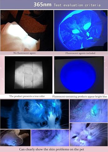DARKBEAM 365nm Blacklight Flashlight with UV Light Combo, Rechargeable USB in Saudi Arabia