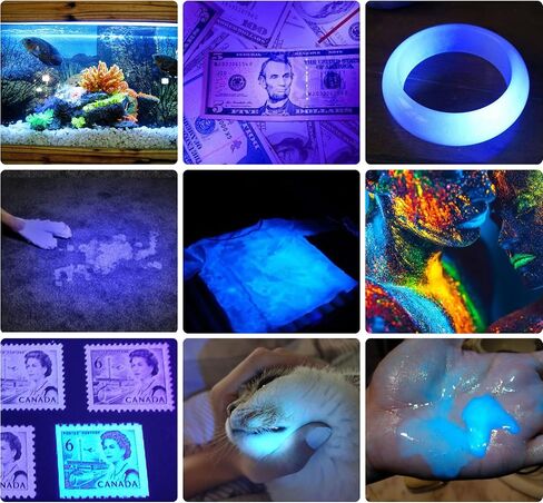 DARKBEAM 365nm Blacklight Flashlight with UV Light Combo, Rechargeable USB in Saudi Arabia