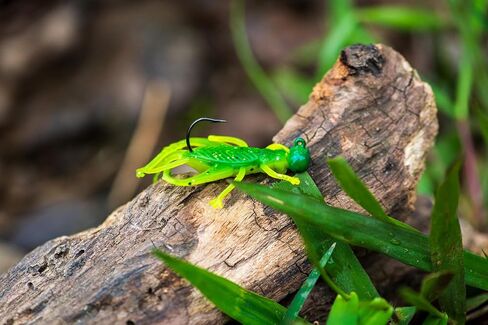 Rebel LIVEFLEX™ Hopper Soft Plastic - Green Grasshopper - 1.75" in Saudi Arabia
