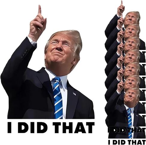 I Did that Political Stickers, 100 Pcs Funny Humor Decals, 3 Inch Large Waterproof Vinyl Stickers for Laptop, Car, Water Bottle, Notebook - Adult Novelty Gag Gift Pack (100 Count) in Kuwait