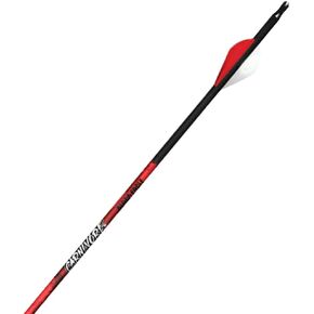Black Eagle Carnivore Fletched Arrows - .001" 6 Pack - 250 in Saudi Arabia