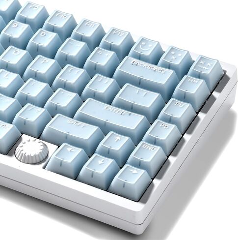 GMKWTL XVX Blue Jade Keycaps, Doubleshot PBT Keycap Sets 142 Keys, Cherry Profile Keyboard Keycaps Suitable for 60%/65%/75%/TKL/96%/100% Layout Mechanical Keyboard in Saudi Arabia