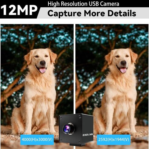 230fps USB Camera, 12MP Webcam with 90 Degree Autofocus Lens in Kuwait