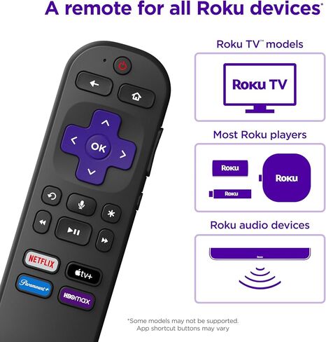 Roku Voice Remote Grey in Saudi Arabia