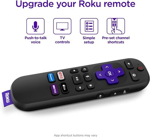 Roku Voice Remote Grey in Saudi Arabia