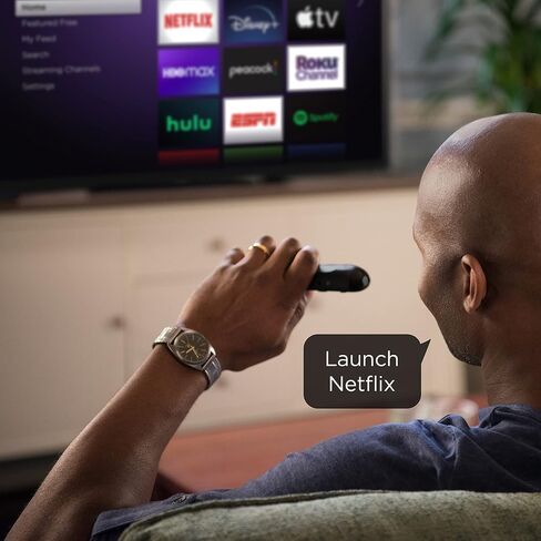 Roku Voice Remote Grey in Saudi Arabia