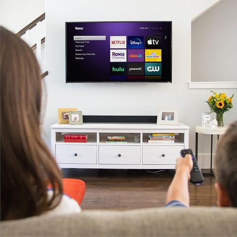 Roku Voice Remote Grey in Saudi Arabia