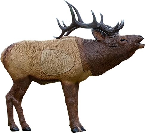 Rinehart 1/3 Scale Woodland Elk Target in Saudi Arabia