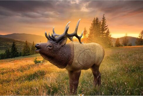 Rinehart 1/3 Scale Woodland Elk Target in Saudi Arabia