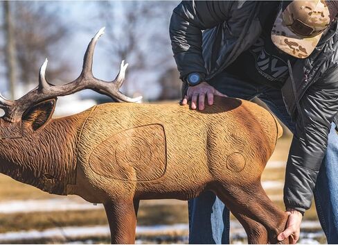 Rinehart 1/3 Scale Woodland Elk Target in Saudi Arabia