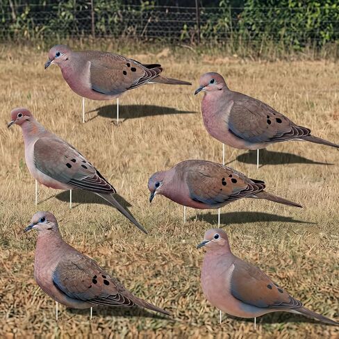 Novabright 12 Pack Pigeon Decoys 2D Realistic Simulation Pigeon Models with Metal Stakes Dove Flock Baiting Hunting Field Set for Outdoor Hunting Home and Garden Decor in Saudi Arabia