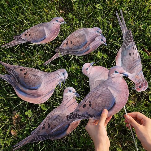 Novabright 12 Pack Pigeon Decoys 2D Realistic Simulation Pigeon Models with Metal Stakes Dove Flock Baiting Hunting Field Set for Outdoor Hunting Home and Garden Decor in Saudi Arabia