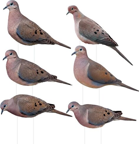 Novabright 12 Pack Pigeon Decoys 2D Realistic Simulation Pigeon Models with Metal Stakes Dove Flock Baiting Hunting Field Set for Outdoor Hunting Home and Garden Decor in Saudi Arabia
