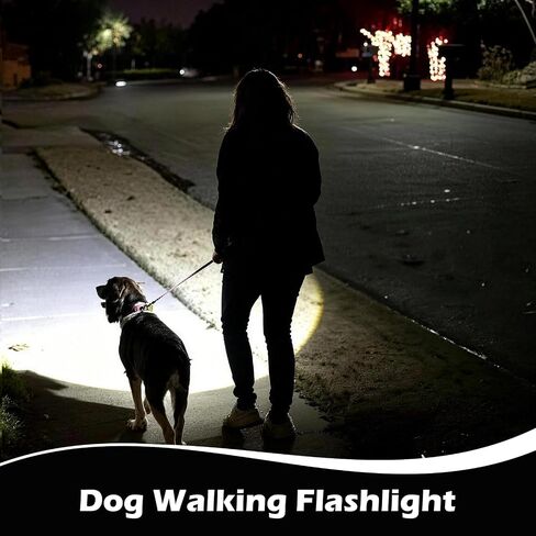 Faxins 2 Pack LED Flashlights Rechargeable Handheld Small Pocket EDC Flashlight Adjustable Brightness Walking Light for Night Walking Silver and Black in Saudi Arabia