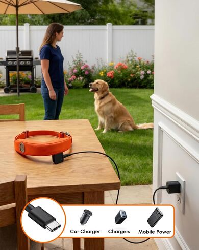 Magnetic Tyce-C Charging Cable, Replacement Charger Cord Compatible with Halo Collar 4 5, Dog GPS Fence Collar in Saudi Arabia