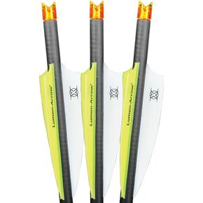 Lumenok Lumen-Arrow 22-Inch Carbon Bolts with Crescent Bolt End (3-Pack),orange in Kuwait