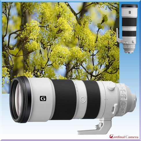 Sony FE 200-600mm f/5.6-6.3 G OSS Lens with Pro Accessory Bundle incl. Lens Case, Editing Software, 64GB Memory Card, Card Reader, Monopod, Spider Tripod & More in Saudi Arabia