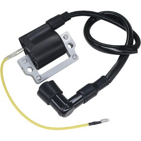 Amavoler Ignition Coil Assembly w/Plug Aftermarket Parts Fit for Yamaha DT80 DT100 DT175 DT400 YZ50 YZ60 YZ400 XL185 XL70 XR80 Etc Dirt Pit Bike. OEM#: 355-82310-40-00,5G4-82310-40-00...