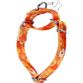 Martingale Collar Dog Collar No Pull Pet Collar Heavy Duty Dog Martingale Collars Silky Soft with Unique Pattern for Medium and Large Dogs (Medium, 1 Inch Wide, Daisy)